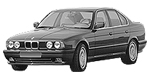 BMW E34 B1010 Fault Code