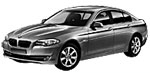 BMW F10 B1010 Fault Code